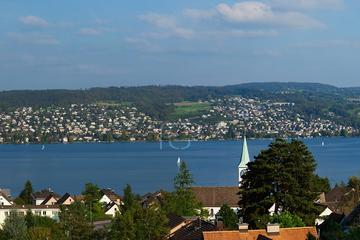 Immobilienmakler Z&uuml;rich: Immobilie Aussicht Fineswissproperties View 100