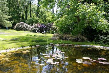 Immobilienmakler Z&uuml;rich: Immobilie Aussicht Img 0106