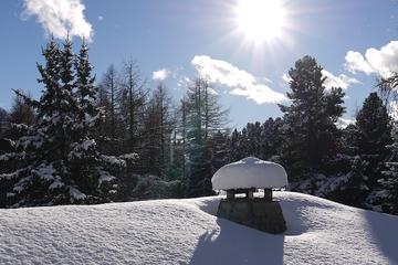 Immobilienmakler Z&uuml;rich: Immobilie Aussicht P1160752