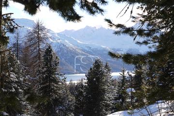 Immobilienmakler Z&uuml;rich: Immobilie Aussicht P1160762