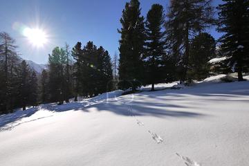 Immobilienmakler Z&uuml;rich: Immobilie Aussicht P1160833