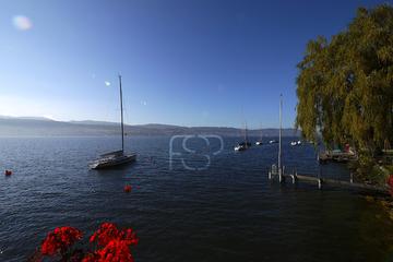 Immobilienmakler Z&uuml;rich: Immobilie Aussicht P1180797