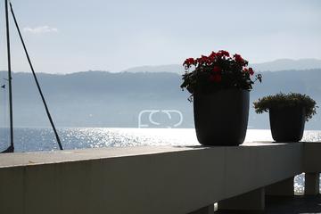 Immobilienmakler Z&uuml;rich: Immobilie Aussicht P1180856