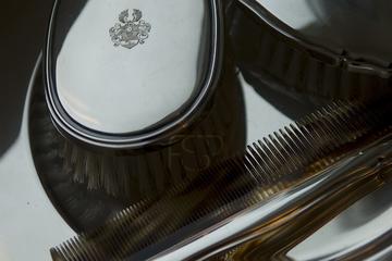 Immobilienmakler Z&uuml;rich: Immobilie Aussicht V9 16032008 251